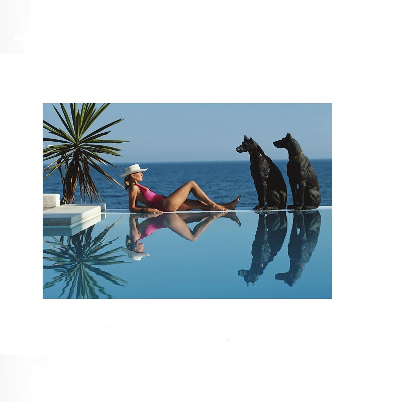 Retro Poolside Host Luxury Lif - Luxury Lifestyle Pictures recensie en prijs